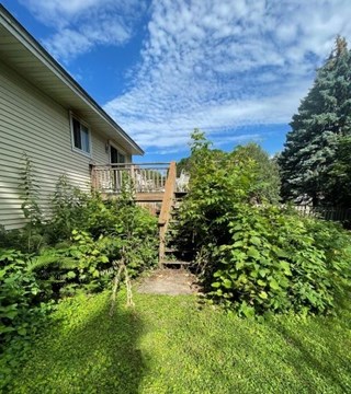 Weed and bush removal in Blaine, MN