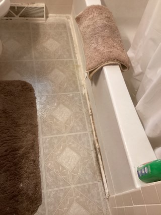 Bathtub silicone removal in Coon Rapids, MN