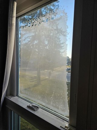 Thermal window repair in Circle Pines, MN