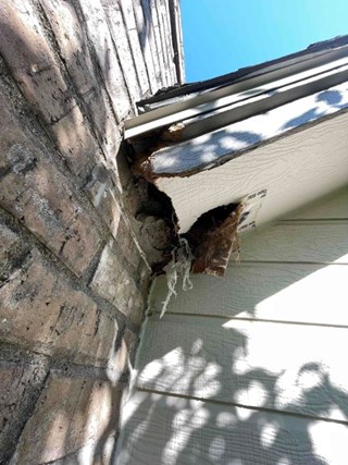 Soffit repair in Andover, MN
