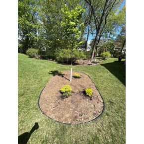 Landscaping in Coon Rapids, MN