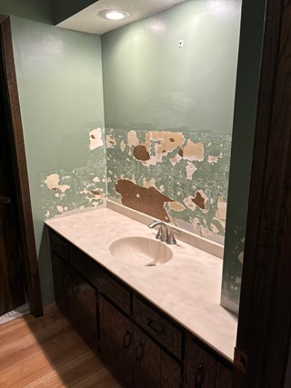 Bathroom wainscotting project in Coon Rapids, MN