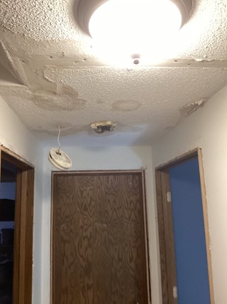 Ceiling repair in Fridley, MN
