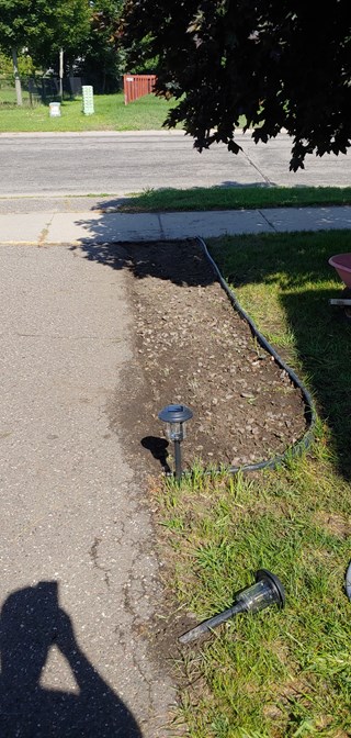 removing hostas, landscaping, Maple Grove, Ace Handyman Services, handyman