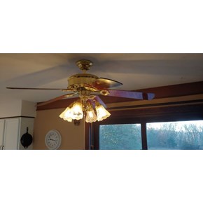 New fan and light installation in Zimmerman