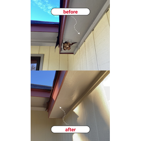 Soffit repair Madison, MS