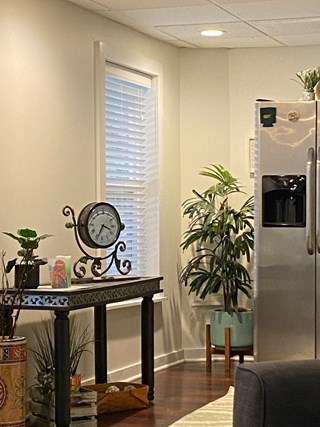 Ace Handyman Services Basement Water Damage Repair Brentwood, MO