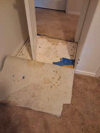 Ace Handyman Services Project in Belgrade, MT