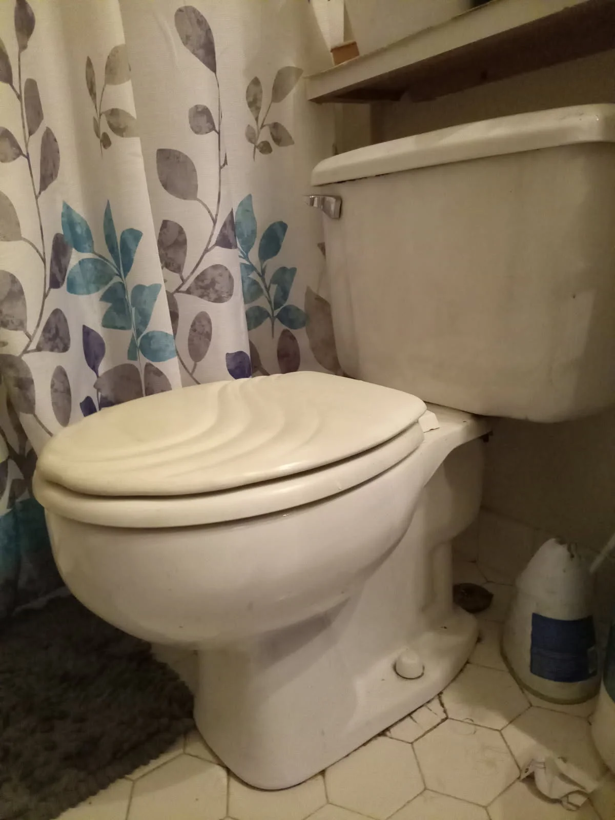 Toilet Replacement in Plainsboro, NJ