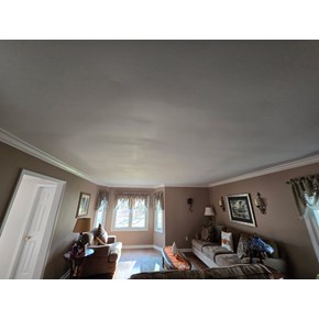 Painting of Ceiling in Hillsborough, NJ