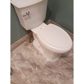 Toilet Replacement in Belled Mead, NJ