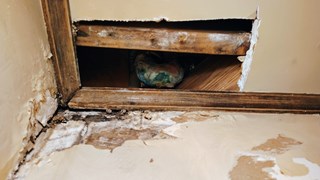 Ceiling damage