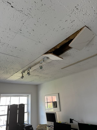 Ceiling / Light Repair