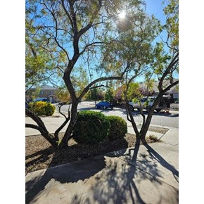 Ace Handyman Services Project in Santa Fe, NM