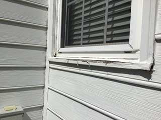 A close-up of the exterior of a window showing some significant wear and damage along the trim. The white paint around the window sill and the base is peeling, revealing wood beneath.
