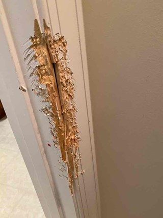 Significant scratch in door frame from dog chewing on it, with visible damage to the surface, exposing the material underneath. 