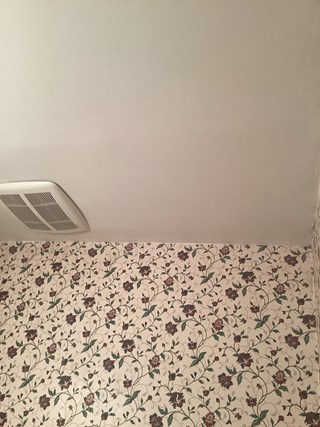 Ceiling fully repaired. The missing section of drywall has been replaced, and the area is freshly painted, blending seamlessly with the surrounding ceiling. 