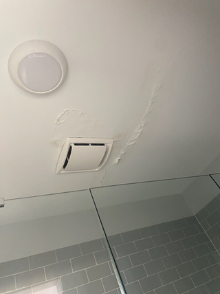 Noticeable water damage on the ceiling, with bubbling and peeling around the bathroom vent