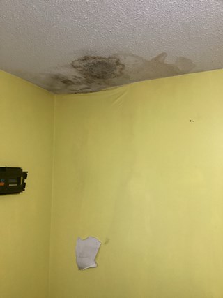 the ceiling has visible water damage and mold stains, with a peeling section on the adjacent wall.