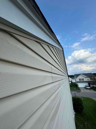 Siding after vines have been removed. 