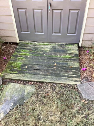 Wooden ramp leading up to a shed, with visible signs of wear and growth. 