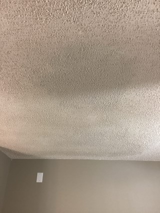 Repaired ceiling, which is smooth and intact, with no visible damage.