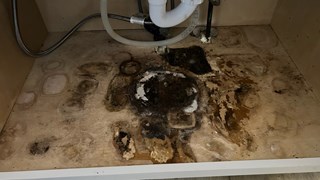 Water damage under sink requiring cabinet base repair or replacement in Cary NC