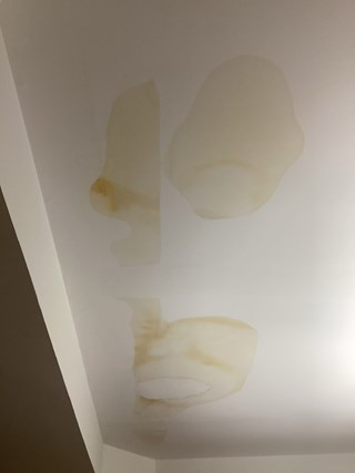 Fixing water damaged ceilings in Preston, Cary, NC 27519. This ceiling shows stains from a leak and needs professional attention.