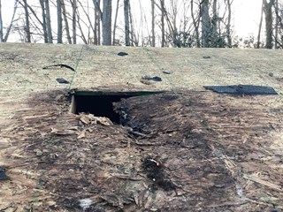 Damaged shed roof with missing shingles and rotten wood