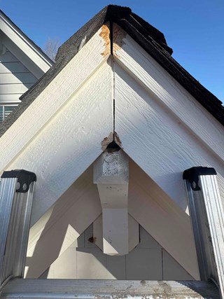 Close-up of woodpecker holes in gable end fascia. Image shows the extent of the damage before carpentry repairs are made.