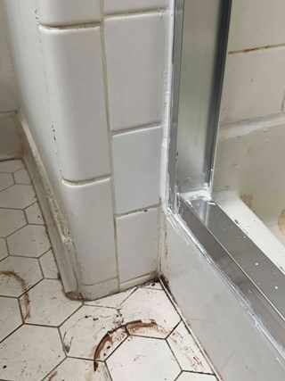 Raleigh, NC, bathroom after tile repair: repaired tile corner and cleaned grout in shower.