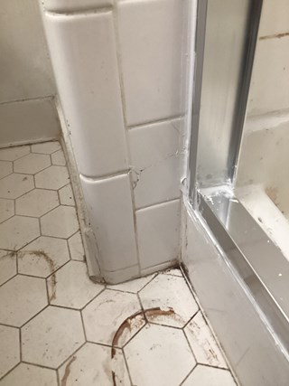 A close-up view of a cracked tile corner in a Raleigh, NC shower, highlighting the damage and potential water intrusion.