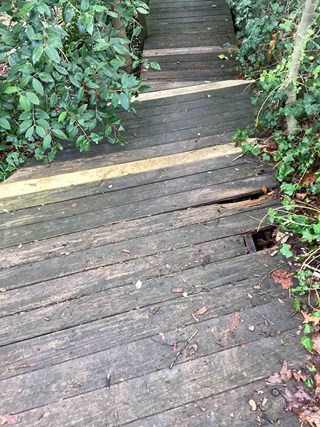 wooden-deck-with-visible-wood-rot