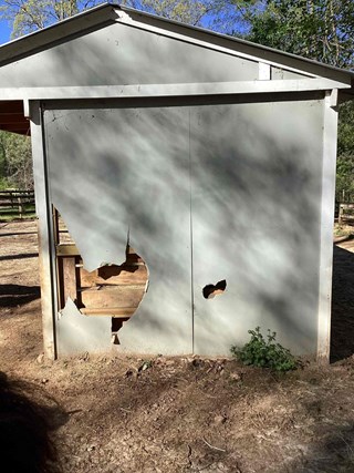A shed with a large hole in one of the walls, along with some damage around it. 