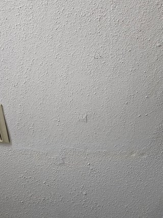 Bathroom ceiling is shown after the popcorn texture has been repaired.