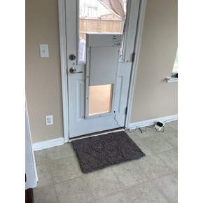 Dog Door Installation Clayton, NC