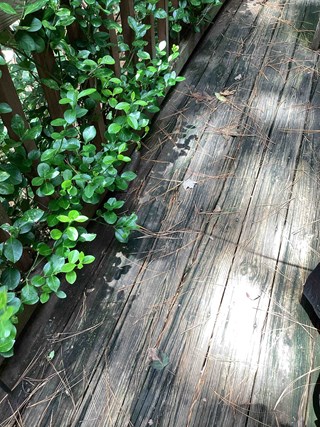 A close-up view of a wooden deck with weathered, discolored boards showing signs of age and wear.