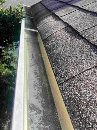 Roof and gutter system after cleaning, with all debris removed. The gutters are clear and free of obstructions, showing a clean surface.
