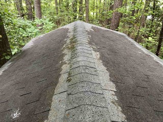 Rooftop with dark shingles, now fully cleared of pine needles and debris. 
