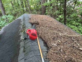  A rooftop covered with dark shingles and partially cleared of pine needles. 