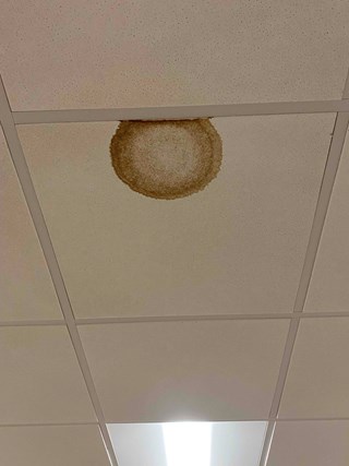 A drop ceiling with a stained ceiling tile featuring a prominent brown circular water stain near the center.