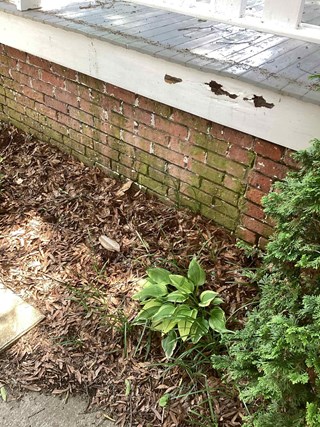 Front porch with a damaged white fascia board showing peeling paint and holes, exposing the underlying wood.