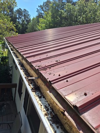 Roof with freshly cleaned gutters. All debris and vegetation have been removed, leaving the gutters clear and functional.
