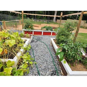 raised bed grardens