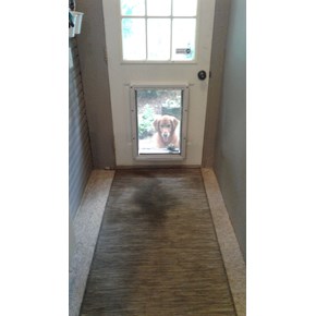 Ace Handyman Services installed dog door in Columbus, Ohio