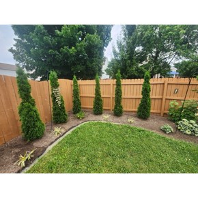 Ace Handyman Services cleaned, repaired, and painted this fence in Pickerington, Ohio