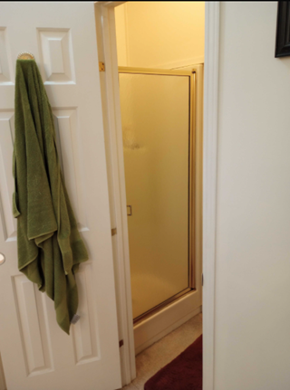 Shower repair and upgrade before