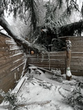 Wood fence repair before