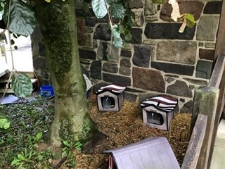 Cat shelter in Pipersville PA Before