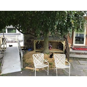 Ace Handyman Services, For Homeowners and Pets!